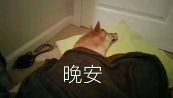  老铁,我们来谈谈留任吧
