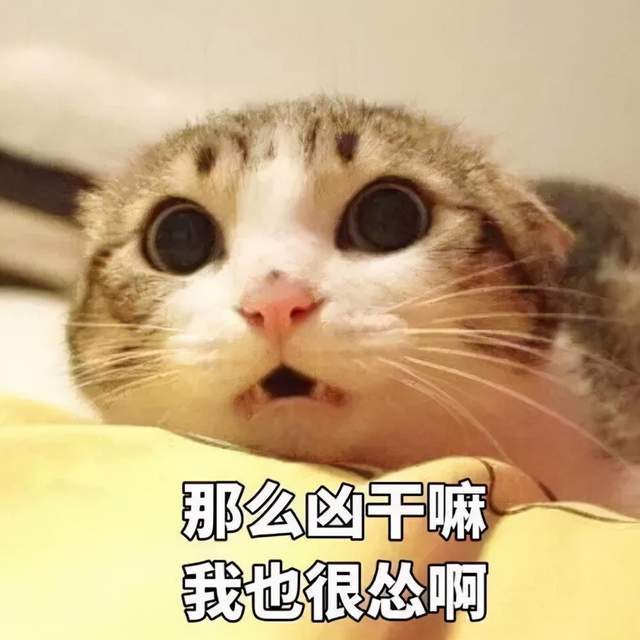  人善被人欺女孩坐地铁未戴口罩被骂,为何网友却为她抱不平