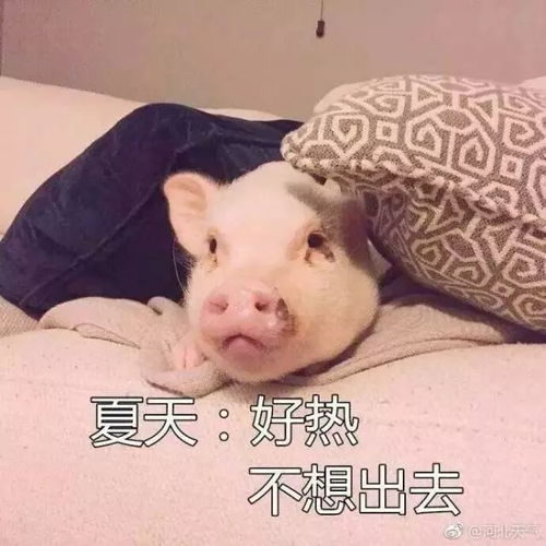  唐县今天到达了40热你没商量