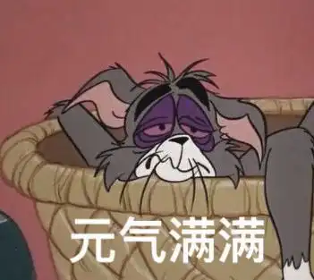  周二也要元气满满