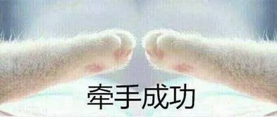  为什么我总是相亲却还是单身