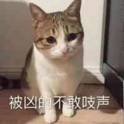 我要失去你了表情包等一