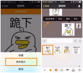  装逼5秒钟,让手机塞满表情包附鸭鸭动态表情包