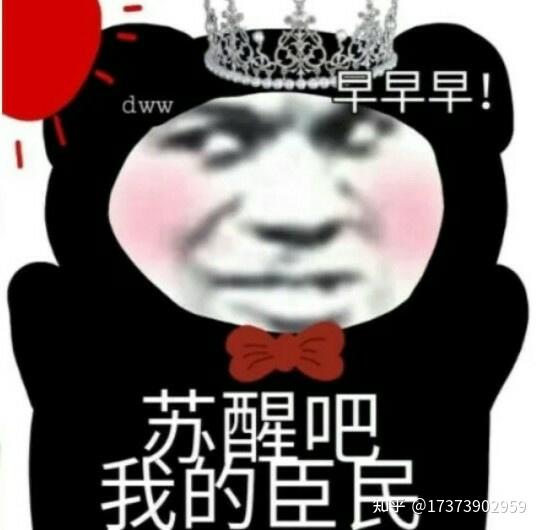  表情包大全公主熊猫头表情包