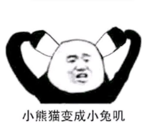  小黄脸熊猫头小猫咪让人开心的就是好表情包