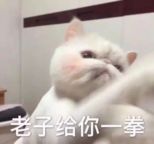 大嘴斗图表情包母亲节