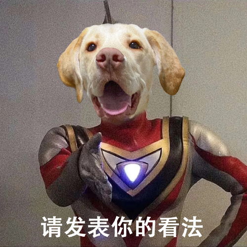  搞笑gif你给我的书都没怎么看,这次恐怕要挂科了