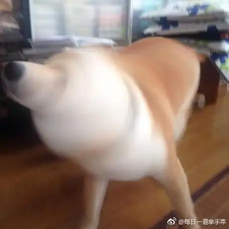  为什么上厕所还要玩手机