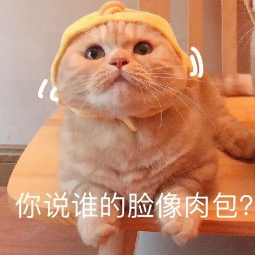  这些表情包送给假期长胖的你们