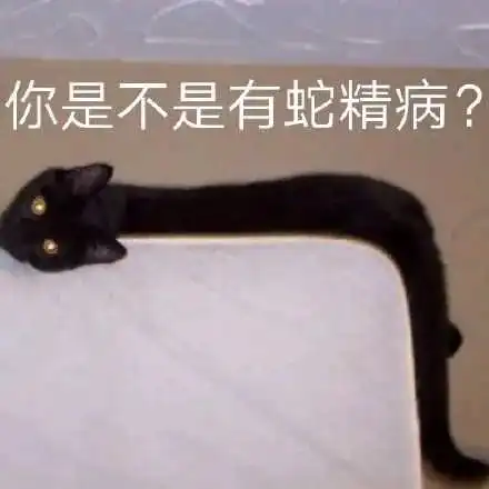 在线表情包沙雕黑猫