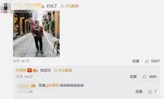  林更新给周杰伦打榜求粉丝p合照惨遭恶搞画风清奇