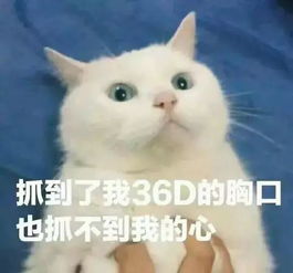  你真是一个又皮又欠揍的可爱女孩