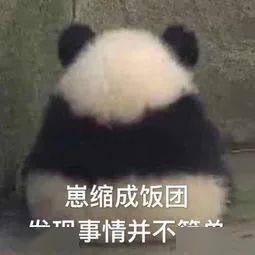 兔子吞脑袋表情包一套熊