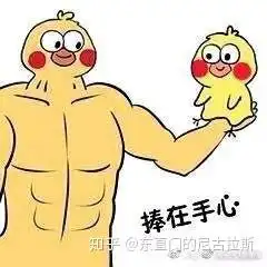 生活的表情包小黄鸡