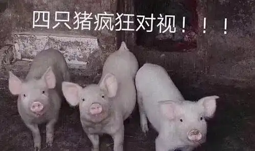 fraicheur的相册表情包 fraicheur的相册表情包