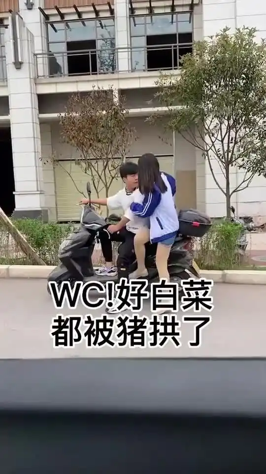  这年头,好白菜都被猪拱了