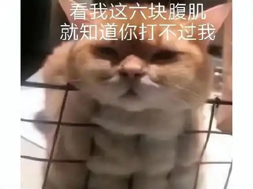  百度版chatgpt亮相,结果股价暴跌10,网友莆田系提前祝贺