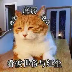  七夕搞笑表情包青蛙孤寡单身狗出租一套