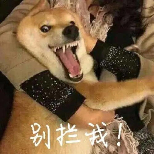  高考结束去哪里这些中国的世界遗产值得打卡