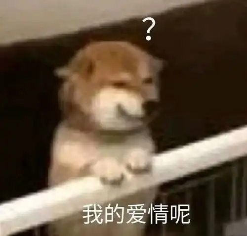 社恐人表情包苦情剧