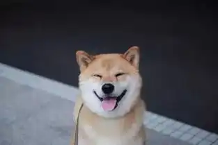  我的表情包柴犬去世了