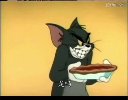  爱护动物周,汤姆给杰瑞礼物时的表情也太搞笑了