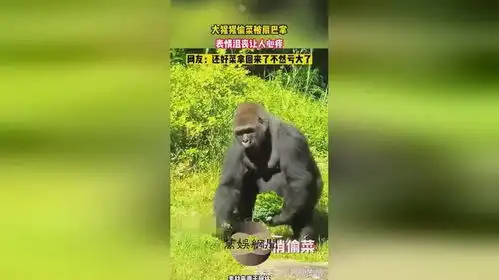  大猩猩偷菜被扇巴掌,表情沮丧让人心疼