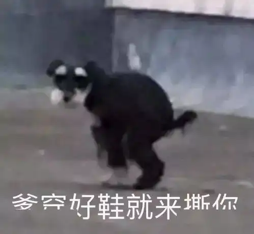  表情包爹穿好鞋就来撕你