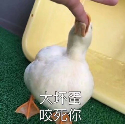  吸鸭让你快乐