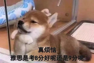  连个雅思表情包都没有,你怎么证明自己是烤鸭