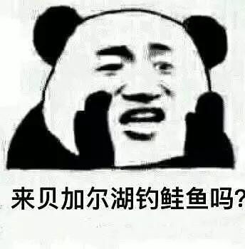  有没有人有流浪地球的表情包啊