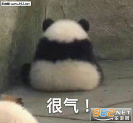  气到哭泣熊猫表情包超级委屈熊猫可爱表情包下载乐游网游戏下载