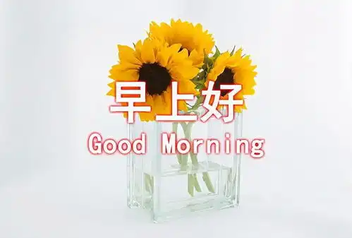  早安问候语动态表情图片清晨祝福朋友一天好心情