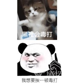  社会毒打表情包社会毒打图片无水印版软件下载