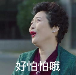  前夫哥雷佳音用表情包笑傲金马奖和小姨妈搭档新剧我不是精英