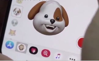  iphonex狗狗表情对话安卓版iphonex专有专属的狗狗对话软件2.0.3官方版下载