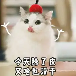 kino猫表情包大哭