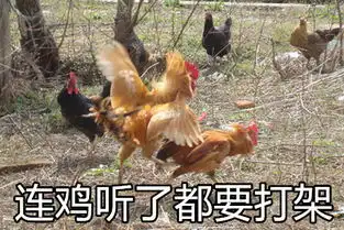 吃鸡斗图表情包gif鸡年