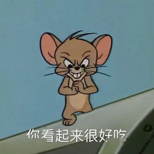  表情包猫和老鼠专辑