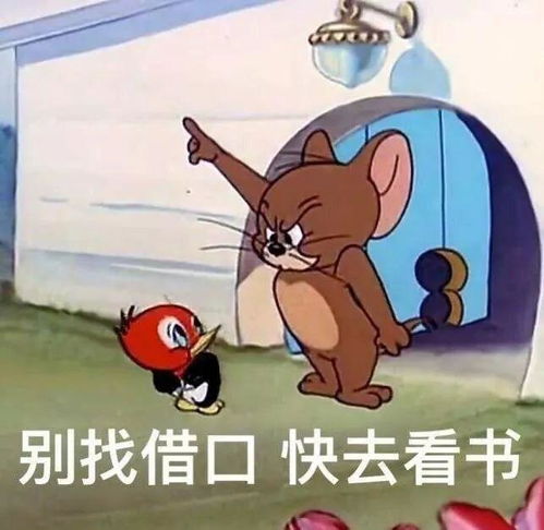  有没有常用的沙雕表情包