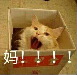  你知道吗如何当一个合格的吃瓜群众