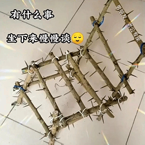 动态搞笑表情包带字图沙
