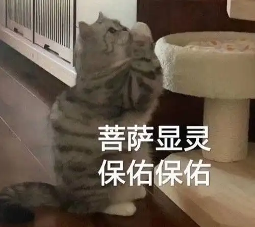  大懒x小懒的相册哈哈哈表情包