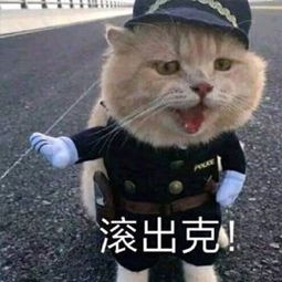  再冷血无情的年轻人,看到这两张表情包都得跪舔