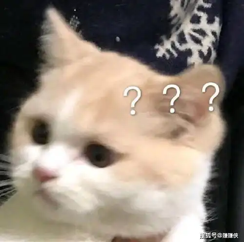  搞笑表情包图片生气了,绝交,这次不可能哄好的