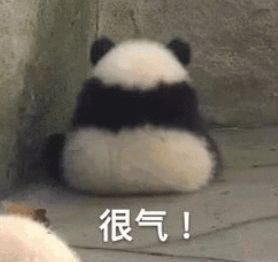  明星在他面前,毫无尊严