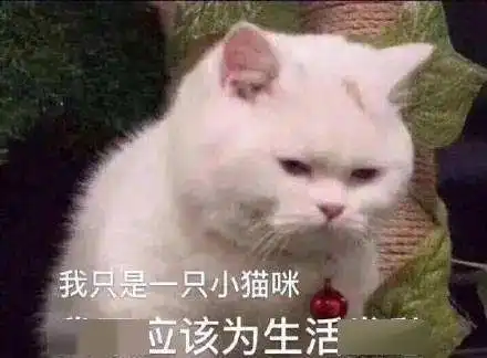  雷雨时