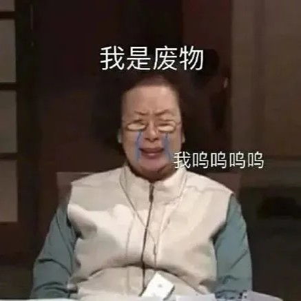  罗文姬女士表情包