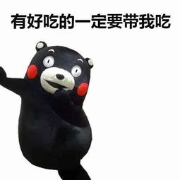 respect什么意思表情包鸭鸭