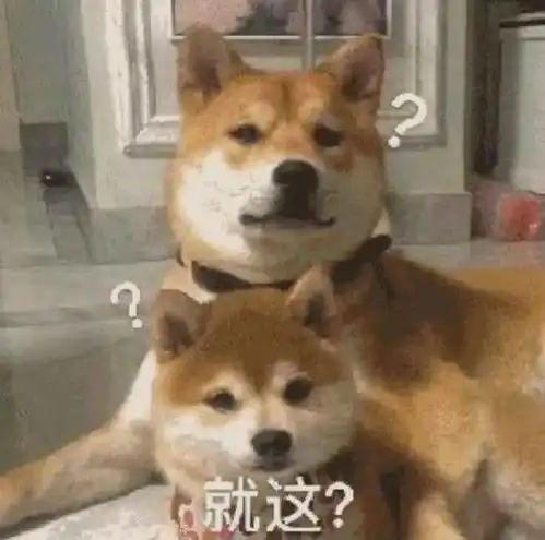  沙雕表情包